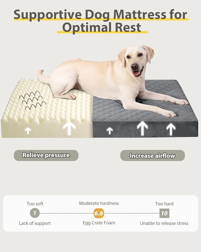 NUPIDA Orthopedic Large Dog Bed for Crate with Washable Cover, 35x22 | Egg-Crate Foam, Cozy Velvet Pet Mattress, TPU Waterproof Layer, Flat Kennel Pad, Comfy Support, Non-Slip Bottom