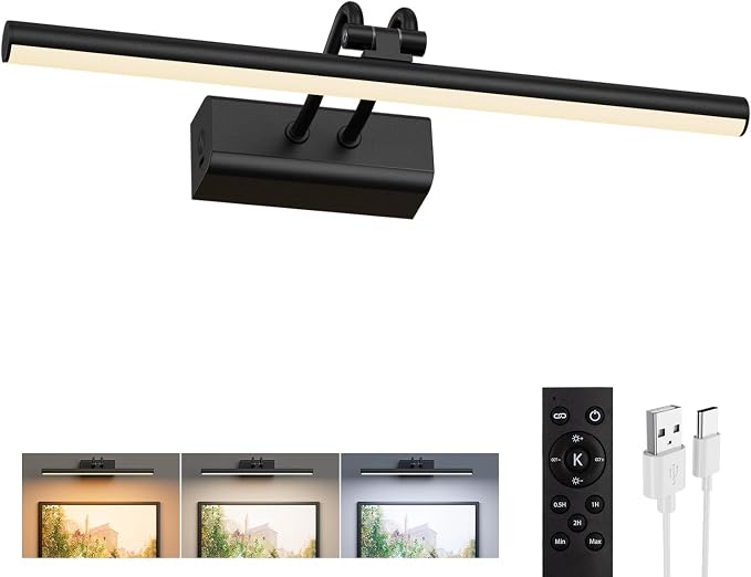 Battery Operated Picture Light for Wall, 13.8'', Black | 4000 mAh, Dimmable, Remote Control, For Art Painting & Gallery, Display for Living Room, Bedroom