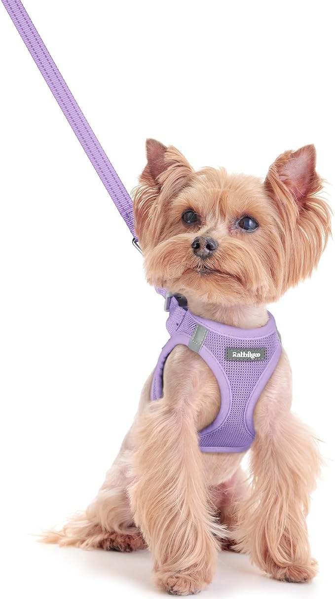 rabbitgoo Dog Harness Small Sized and Leash Set, Step-in Puppy Pet Vest | Light, Soft, Breathable Air Mesh, Easy on and Remove with Hook & Loop, Secure Reflective for Walking, Light Purple XXS