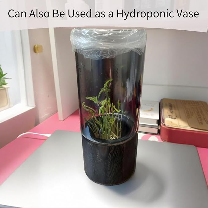 10" Wood Glass Vase | Wooden Base, Cylindrical, Flower Vase
