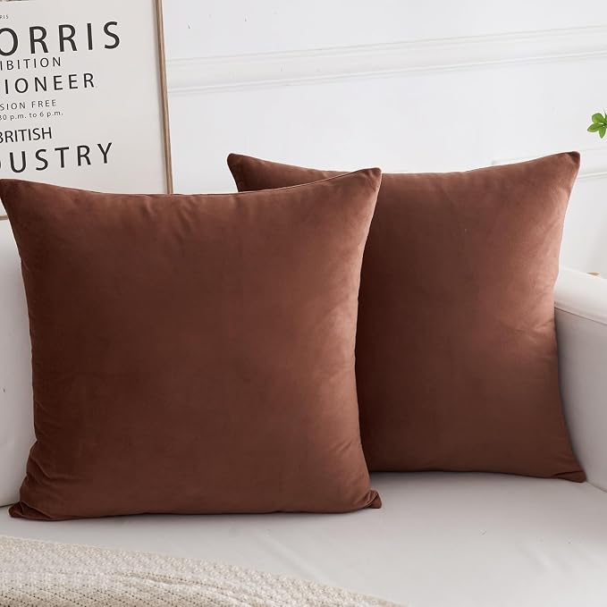 Velvet Decorative Throw Pillow Covers, Soft Square Cushion Case Home Decor for Living Room Couch Bed Sofa, Set of 2 Pack, Brown, 24x24 Inch