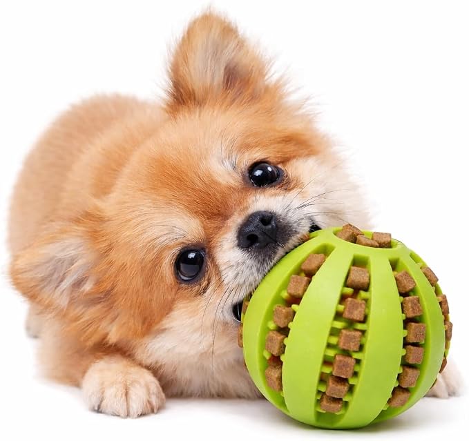 Dog Treat Ball for Small Dogs – Interactive Chew Toy, Teeth Cleaning & Mental Stimulation, Durable Rubber Treat Dispensing Toy