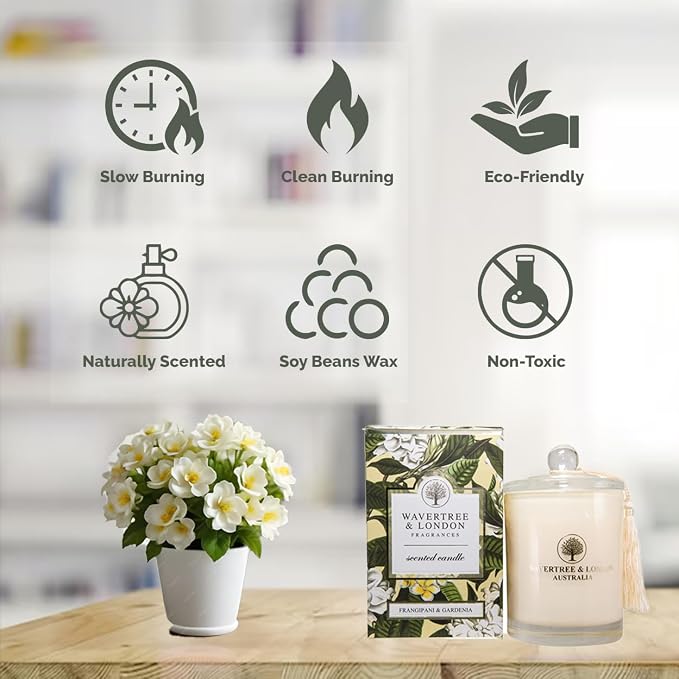 Luxury Frangipani & Gardenia Soy Wax Candle - Hand Poured in Australia, 11.66 oz Glass Jar Fancy Candle, Strong Scented, Non-Toxic, Long Lasting 60 Hour Burn, Relaxing Natural Floral Candle Gift