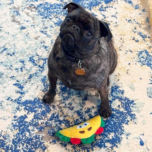 SPOT Fun Food Taco Plush Dog Toy with Squeaker - Interactive Soft, Squeaky Toy for Dogs and Puppies, Keeps Pets Entertained, Cute and Funny Chew Toy Made with Soft Fabric - 6in