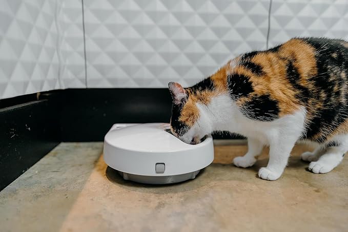 Cat Mate C500 Automatic Digital Pet Feeder for Dogs and Cats BPA and BHT Free with Ice Packs