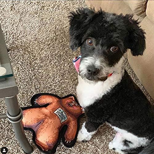 FUZZU Wild Woodies Dog Chew Toy | A Bear Named Pierre Dog Toy | Durable Squeaky | Dog Chew Toy | Rugged Dog Toy | Medium | 9"