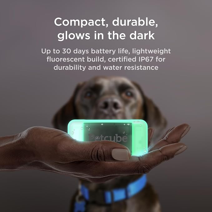 Petcube GPS Tracker for Dogs – Real-Time GPS Tracking | Escape alerts, virtual fences, activity & wellness monitoring, water & dust resistant