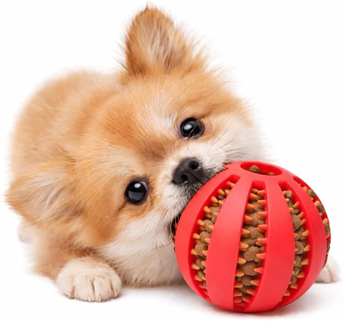 Dog Treat Ball for Small Dogs – Interactive Chew Toy, Teeth Cleaning & Mental Stimulation, Durable Rubber Treat Dispensing Toy
