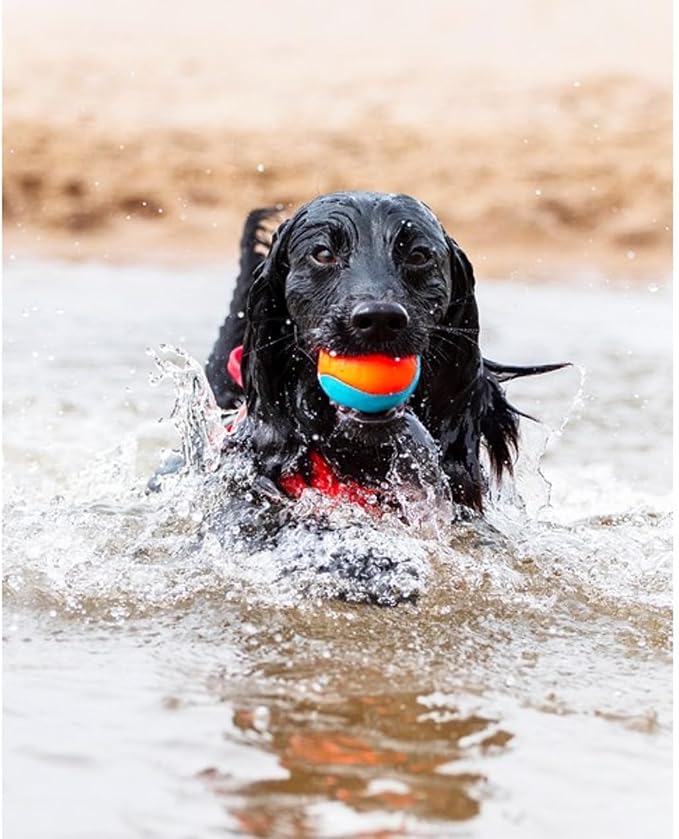 ChuckIt! Amphibious Fetch Balls, Set of 3, Medium
