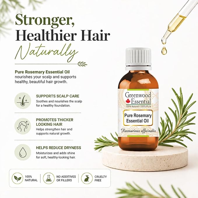 Greenwood Essential Pure Rosemary Essential Oil (Rosmarinus officinalis) Steam Distilled 15ml (0.50 oz)