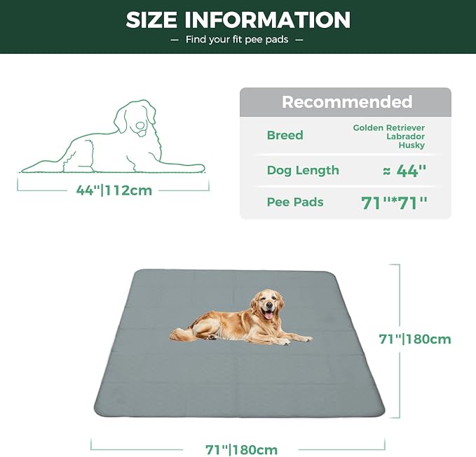 FXW Washable Pee Pads for Dogs, Super Absorbent, 71" Square, 1 Pack | Machine washable, Non-slip backing, Fits 32"H 8-Panel FXW Rollick/Homeplus Playpens