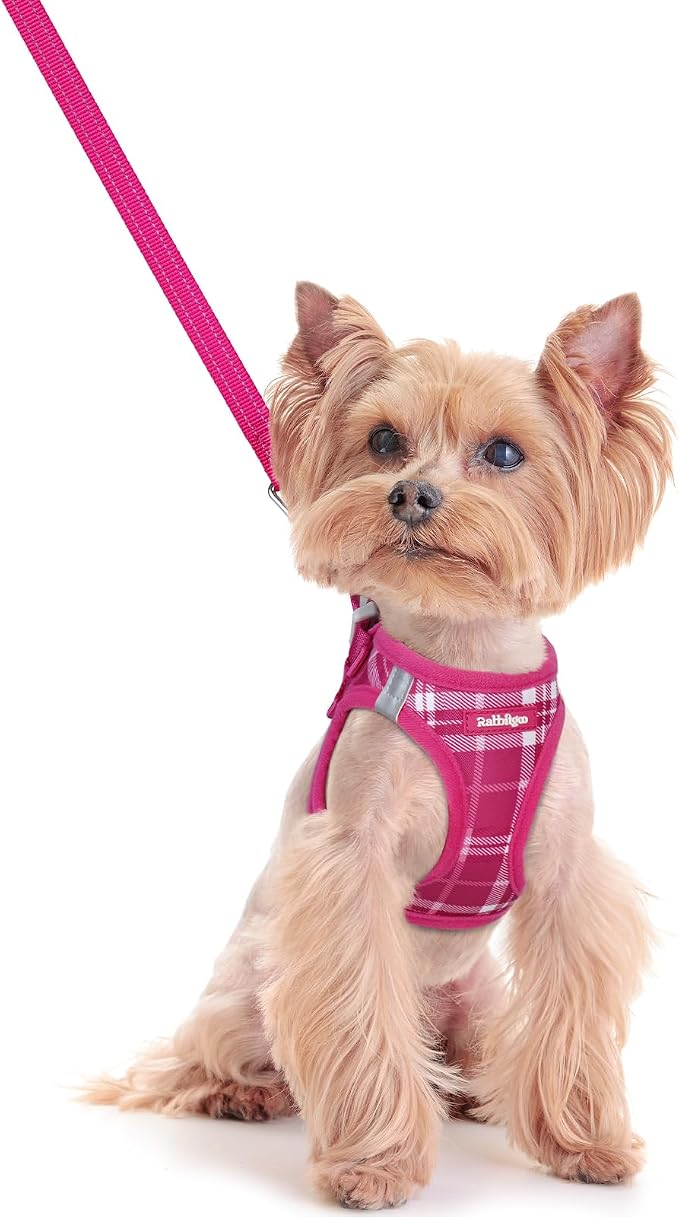 rabbitgoo Dog Harness Small Sized and Leash Set, Step-in Puppy Pet Vest | Light, Soft, Breathable Air Mesh, Easy on and Remove with Hook & Loop, Secure Reflective for Walking, Rose Red Plaid XXS