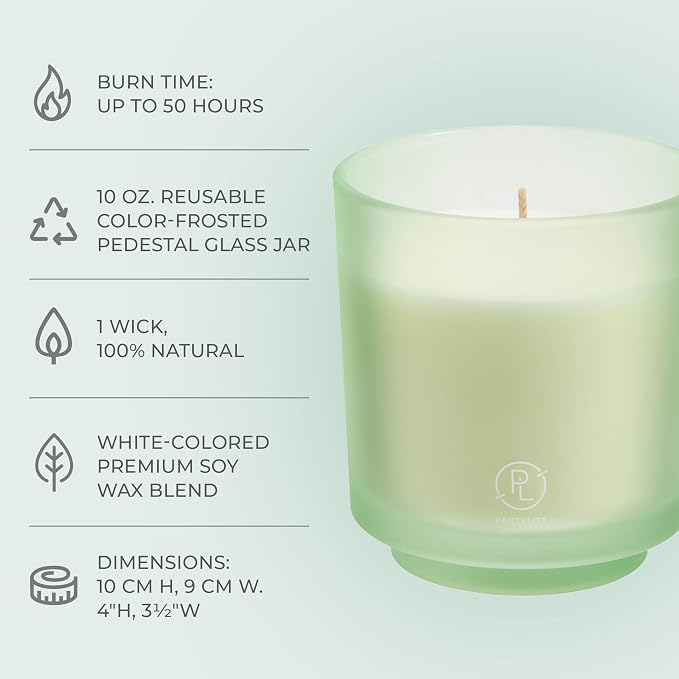 PartyLite Seagrass Eucalyptus Scented Jar Candle + (1) Refill - Notes of Eucalyptus, Lemon, Seagrass & Driftwood, 10oz 1-Wick Aromatherapy Candle