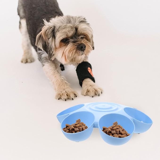 Ipetboom Puppy Litter Bowl Cat Bowls Dog Food Water Bowls Flower Shaped 6 Bowls Pet Feeding Dish Multiple Cat Feeder Dog Treats Dispenser for Puppy Kitten Blue Feeding Station