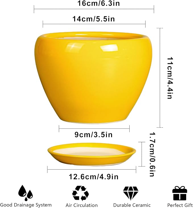 Ceramicfor Ceramic Pot for Plants - 6 Inch Plant Pot Glaze Modern Decorative Round Planter with Drainage Hole and Saucer for Home Patio Room Office House Decor, Yellow