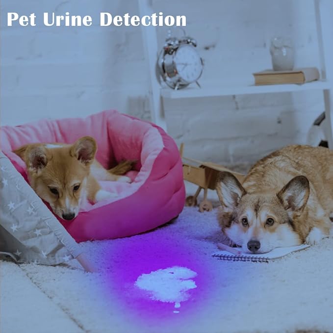 Black Light UV Light, 21 LED 395nm UV Flashlight, Powerful Mini Blacklight Flashlight, Small Portable Black Light Flashlight for Pet Urine Detection, Scorpion, Resin Curing, Bed Bug, Nails
