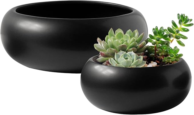 Royal Imports Flower Ceramic Vase Bowl Terrarium Planter Set of 2 - Black | Bowl Terrarium Succulent Planter, Air Plant Display, Decorative Centerpiece Floral Container for Home or Wedding
