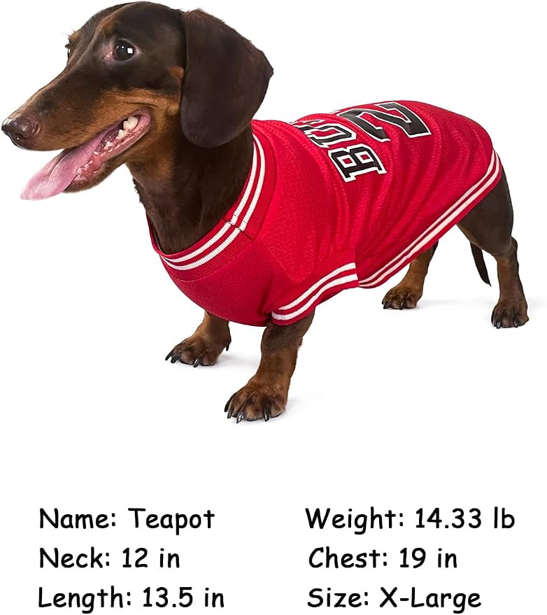 Dog Clothes Basketball Mesh Breathable T-Shirt,Pet Clothes Puppy Sportswear Spring/Summer Fashion Dog Shirt. (Blue, Large)