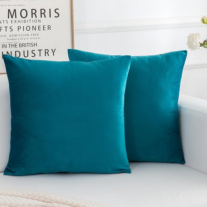 Velvet Decorative Throw Pillow Covers, Soft Square Cushion Case Home Decor for Living Room Couch Bed Sofa, Set of 2 Pack, Teal, 20x20 Inch