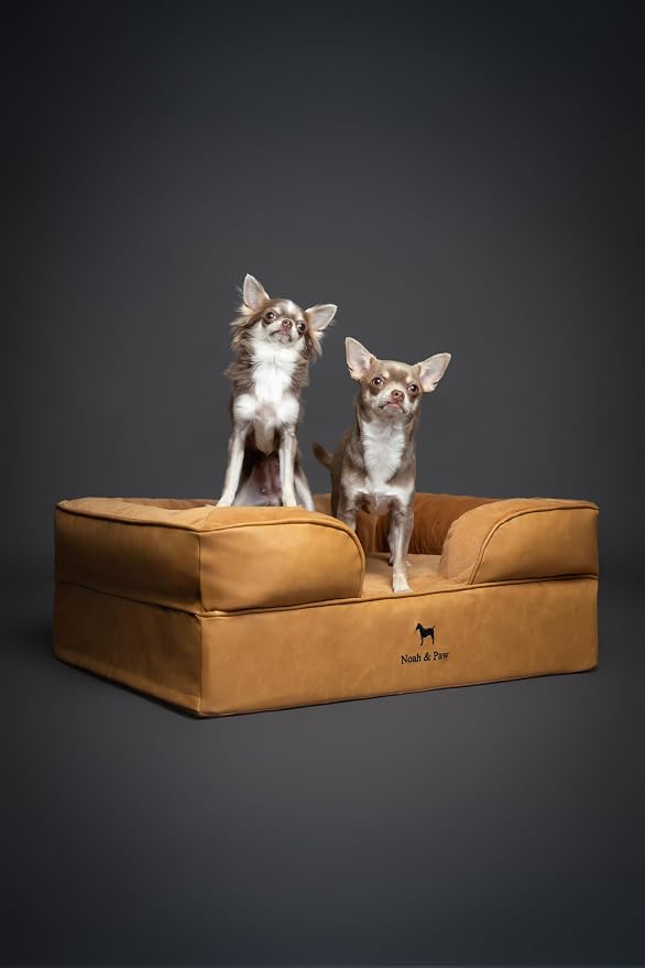 NOAH & PAW Dog Bed, 28x23x11 Inch, Orthopedic Dog Beds for Medium Size Pets, Eggshell Memory Foam Infused with Cooling Gel, Inner Cover, Water Resistant, Machine Washable (Faux Leather)