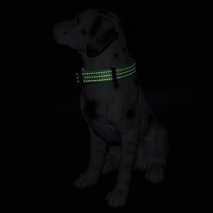 Mile High Life Reflective Dog Collar, Adjustable Lightweight Quick Release