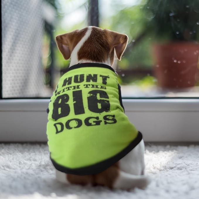 8 Pieces Dog Shirts Pet Printed Clothes with Funny Letters Summer Pet T Shirts Cool Puppy Breathable Dog Outfit Soft Sweatshirt Cats(Vivid Pattern,Small)