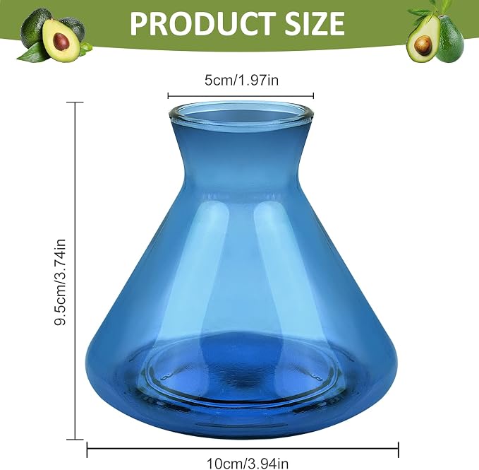 1 PCS Avocado Seed Starter Vases, Avocado Tree Growing Kit Acorn Bulb Vase Grow Glass Avocados Pit Planter Pot Blue Hydroponics Container for Gardening Lover