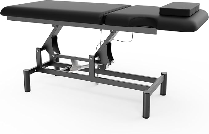 Professional Electric Massage Table, 2 Motors Hydraulic Electric Lift Adjustable Backrest and Height Lifting Functions for Treatment/Physical Therapy/Spinal Massage/Facial Spa/Waxing/Tattooing - Black