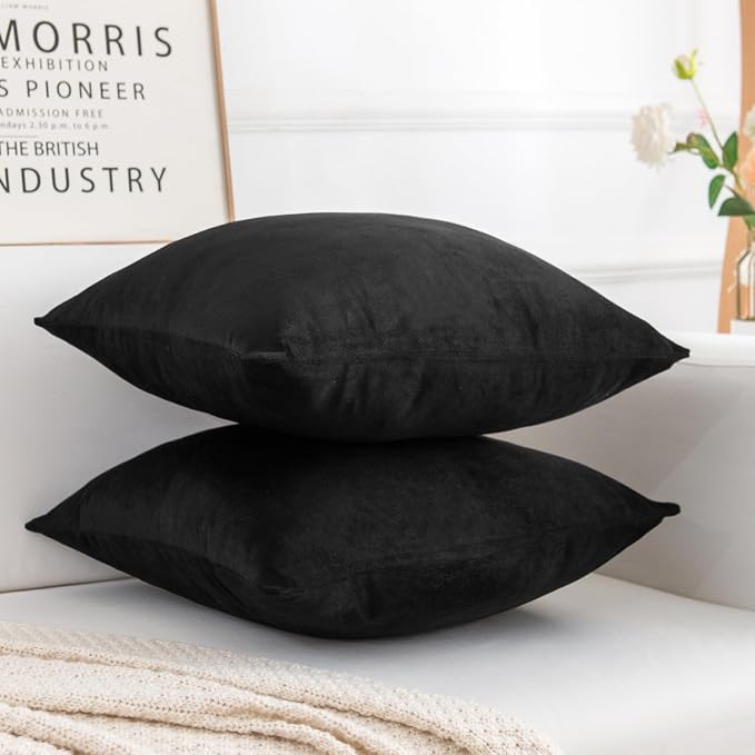 Velvet Decorative Throw Pillow Covers, Soft Square Cushion Case Home Decor for Living Room Couch Bed Sofa, Set of 2 Pack, Black, 18x18 Inch