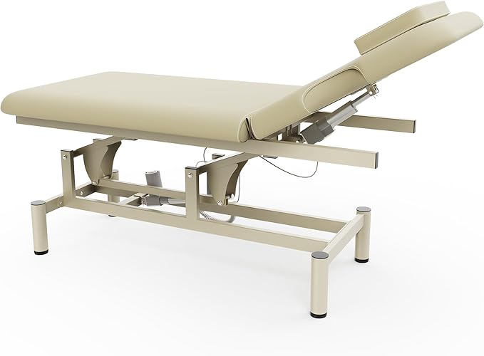 Professional Electric Massage Table, 2 Motors Hydraulic Electric Lift Adjustable Backrest and Height Lifting Functions for Treatment/Physical Therapy/Spinal Massage/Facial Spa/Waxing - Beige Gray