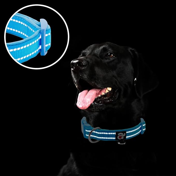 azuza Reflective Dog Collar, Neoprene Padded Puppy Collar, Blue, XS