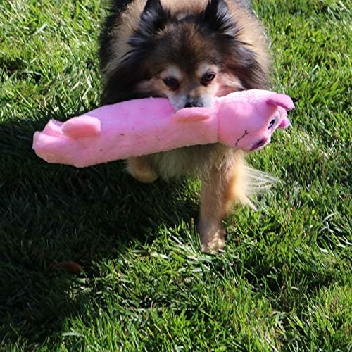 Snuggle Puppy Tender-Tuffs Bottle Cruncher Dog Toy, Squeaky Pig