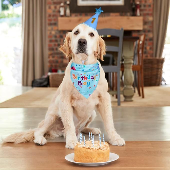 Dog Birthday Party Supplies,Dog Birthday Bandana,Dog Birthday Hat | Dog Birthday Decorations,Dog Boy Girl Birthday Party Hat with Numbers for Large Medium Small Dogs Pet (Blue),Soft,Breathable