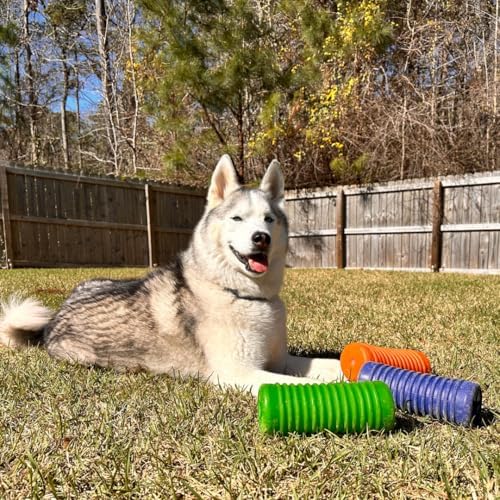Krunch'ems Large Crunchy Crinkle Dog Toy for Aggressive Chewers