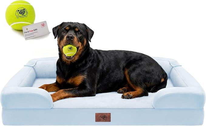 Waterproof Orthopedic Dog Bed for Extra Large Sized Dogs | Memory Foam Pet Bed Sofa with Bolster, Dog Couch with Washable Cover & Non-Slip Bottom, 45x35 Inch, Light Blue