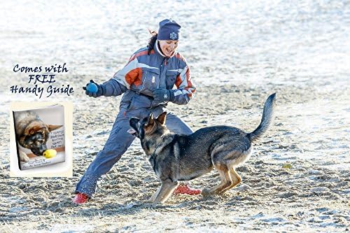 Tricky Treat Rugby Ball: Dog Treat Dispenser - Awesome Anxiety Reliever and Boredom Breaker, Fun Fetch and Basic Puppy Training Toy (Large, Blue)