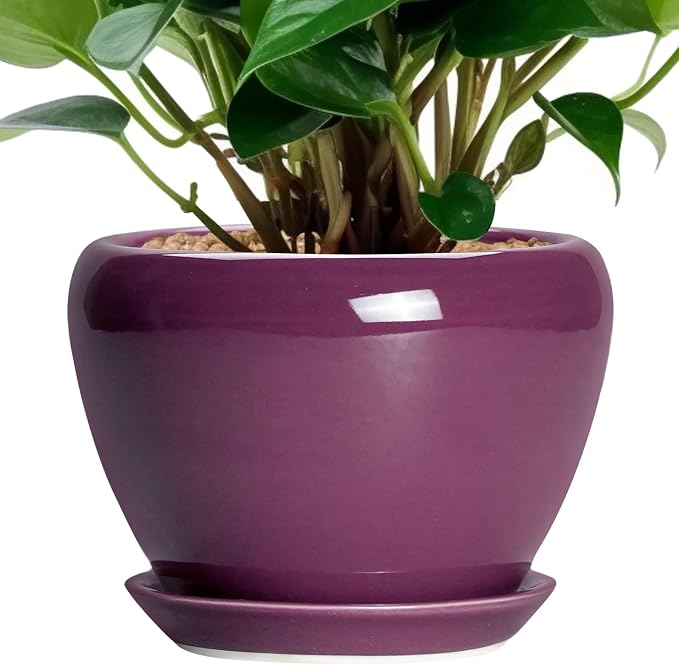 Ceramicfor Ceramic Pots for Plants 6 Inch - Ceramic Plant Pots with Drainage Hole and Saucer, Glaze Round Planter for Succulent Plants, Gifts for Plant Lovers, Garden Home Decor, Purple