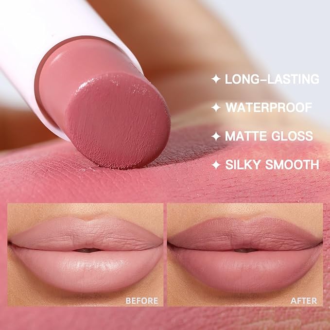 USHAS 2 in 1 Waterproof Lipstick and Lip Liner Combo Set - Long Lasting Matte Lipstick Pen with Lip Liner Set Makeup Kit (S11, Pack of 1)