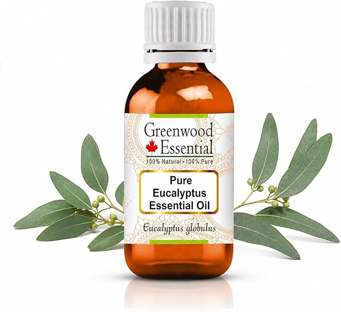 Greenwood Essential Pure Eucalyptus Essential Oil (Eucalyptus globulus) Steam Distilled (Pack of Two) 100ml X 2 (6.76 oz)