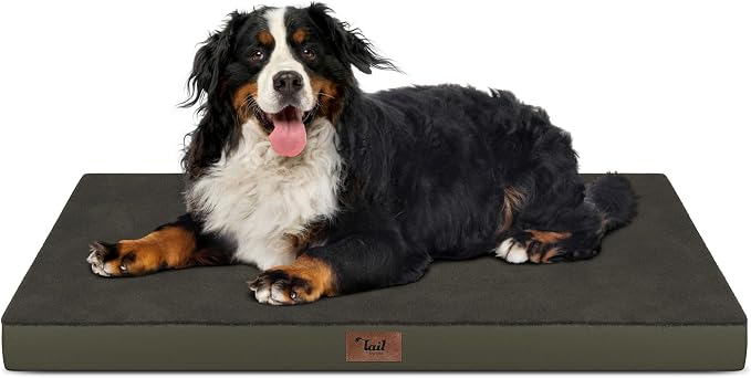 Outdoor Extra Large Dog Bed XXL for Giant Breed Dogs | Egg Crate Orthopedic Foam, Fits 48x30 Crates, TPU Waterproof Layer, Machine Washable 1680D Oxford Cover, Up to 110 lbs