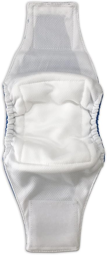 Paw Inspired Washable Male Dog Wraps, Assorted, White Lining, Large, 2 Pack | L Size, Blue/Green Colors, Reusable Cloth Belly Bands for Potty Training, Marking, Incontinence, Travel, Surgery