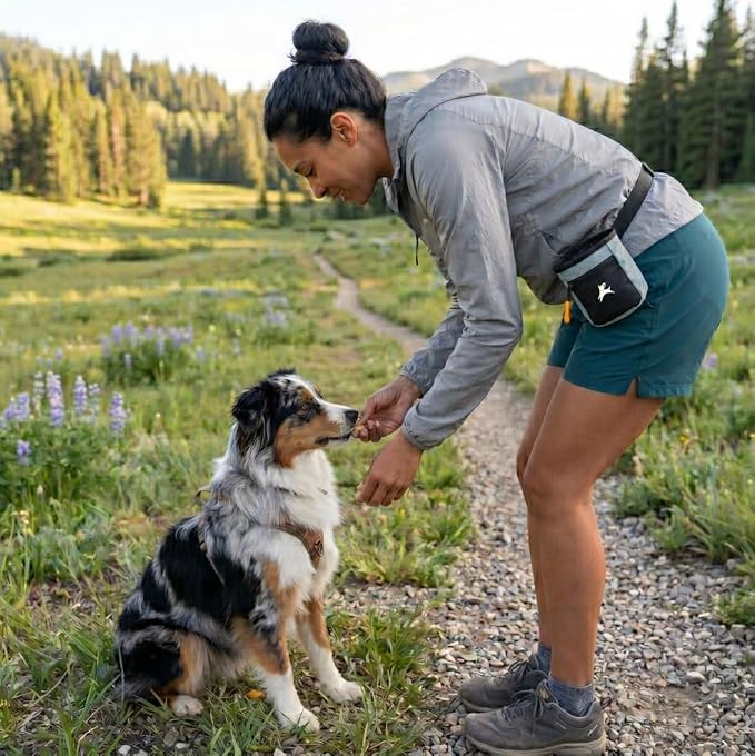 OllyDog, Goodie Treat Bag, Dog Treat Training Pouch | Magnetic Closure | 3 Ways to Wear | Hands-Free Waist Belt | Water-Resistant Recycled Vegan Fabric (St. Lucia)