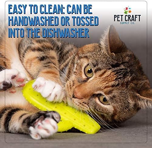 Pet Craft Supply Cactus Interactive Cat Toy Chew Toy Teeth Cleaning Bite Resistant 100% Natural Rubber with Bonus Catnip and Silvervine Bags for Kittens and Adult Cat