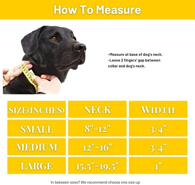 Waterproof Dog Collar, Soft Comfortable Pet Collars, Adjustable Odor Proof Heavy Duty Dog Collars Easy to Clean for Large, Medium Small Dogs by Bee N Buu (Yellow, Medium (length12-16, Width 3/4"))