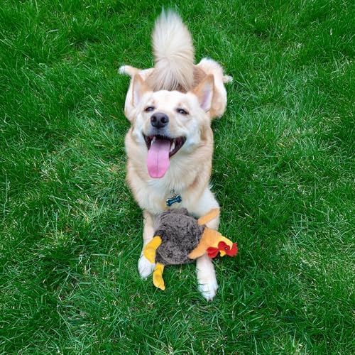 Squeaky Stuffed Dog Toys, Plush Chicken Toy for Small, Medium & Large Dogs