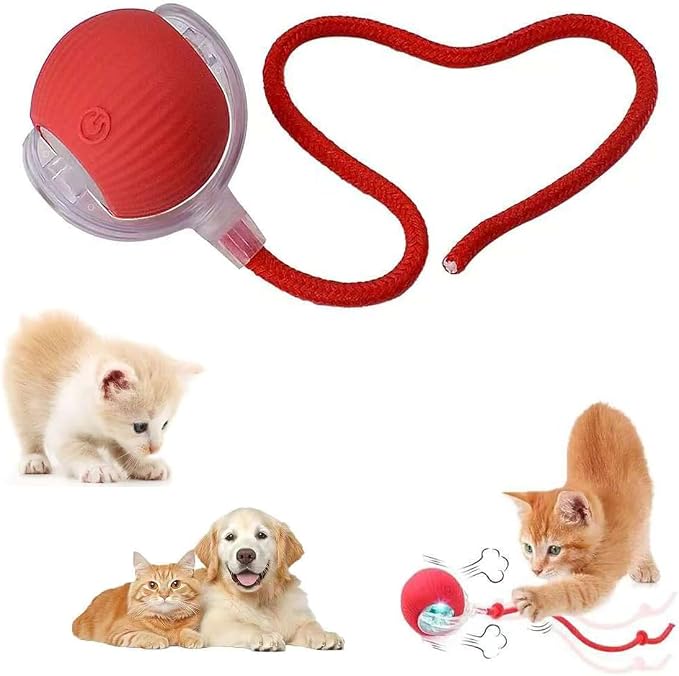 Interactive Pet Toy Ball, Automatic Dog Toy Interactive Dog Cat Toy Ball Dog & Cat Electric Active Toys, Smart Chase Pet Toy Ball for Dogs for Large Small Dogs Motion Activated，Red