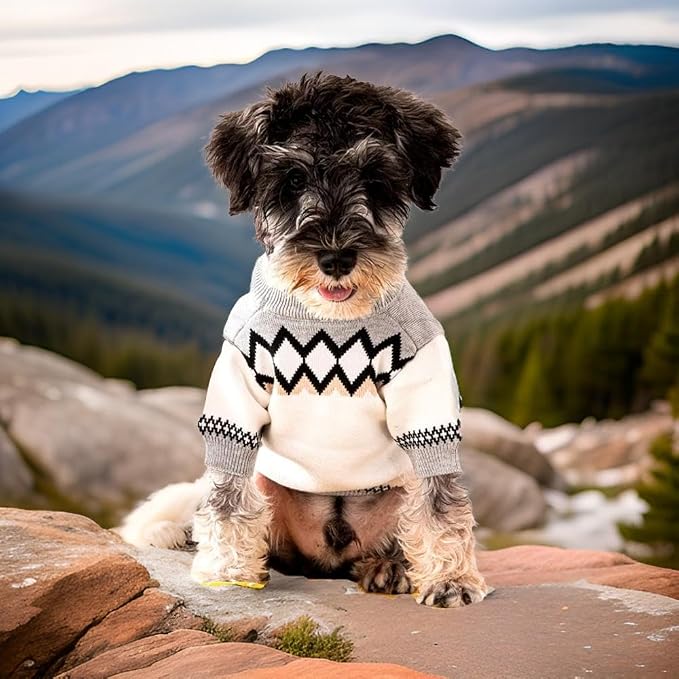 Dog Sweater for Small Dogs, Designer Dog Clothes, Luxury Pawda, Soft Knit | Designer dog clothes for small dogs with soft knit comfort, luxury styling and easy pullover fit for Yorkies in cold weather.
