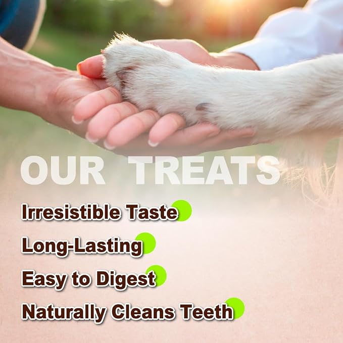 A Freschi srl Turkey Tendons for Dogs, USA-Sourced Human Grade, Rawhide-Free Long-Lasting Puppy Chews, All Natural Hypoallergenic Dog Treats for Small Breeds, Bone (S), 6 Count Pack