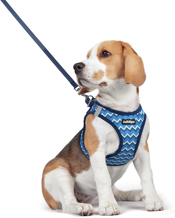 rabbitgoo Dog Harness Medium Sized and Leash Set, Step-in Puppy Pet Vest | Light, Soft, Breathable Air Mesh, Easy on and Remove with Hook & Loop, Secure Reflective for Walking, Blue Zigzag L