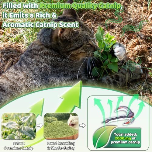 Catnip Toy [2000mg Premium Catnip], Sickle Style Cat Kicker Toy